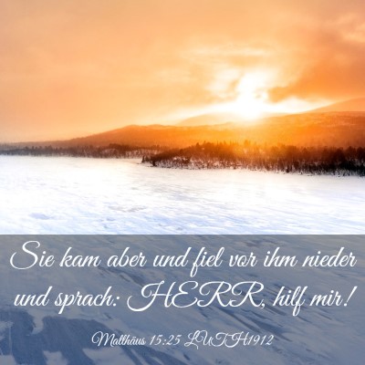 Picture 03 - Matthäus 15:25 LUTH1912 - Sie kam aber und fiel vor ihm nieder und sprach: - Bible Verse Picture