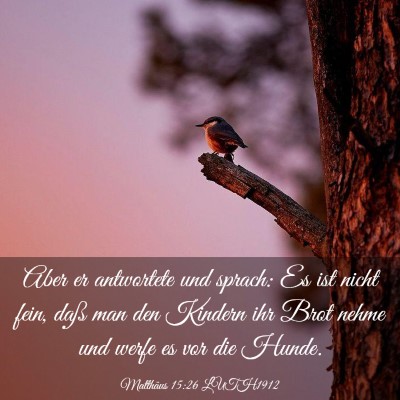 Picture 03 - Matthäus 15:26 LUTH1912 - Aber er antwortete und sprach: Es ist nicht fein, - Bible Verse Picture