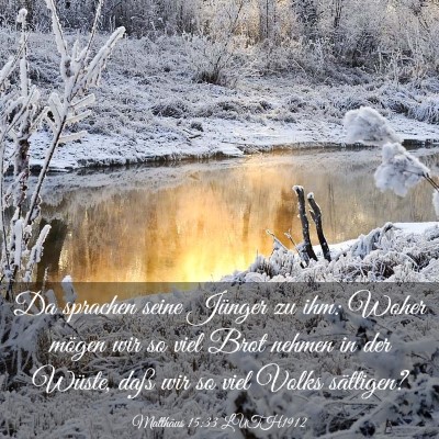 Picture 03 - Matthäus 15:33 LUTH1912 - Da sprachen seine Jünger zu ihm: Woher mögen - Bible Verse Picture