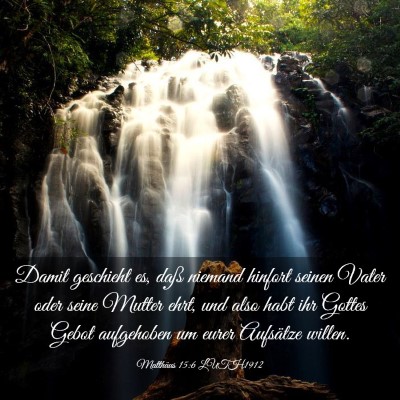 Picture 03 - Matthäus 15:6 LUTH1912 - Damit geschieht es, daß niemand hinfort seinen - Bible Verse Picture