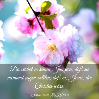 Picture 03 - Matthäus 16:20 LUTH1912 - Da verbot er seinen Jüngern, daß sie niemand - Bible Verse Picture