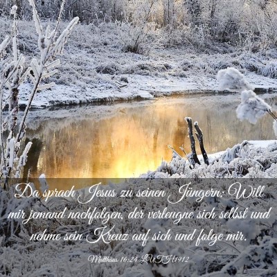 Picture 03 - Matthäus 16:24 LUTH1912 - Da sprach Jesus zu seinen Jüngern: Will mir - Bible Verse Picture