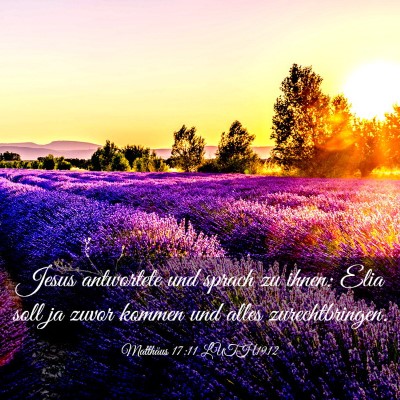 Picture 03 - Matthäus 17:11 LUTH1912 - Jesus antwortete und sprach zu ihnen: Elia soll - Bible Verse Picture