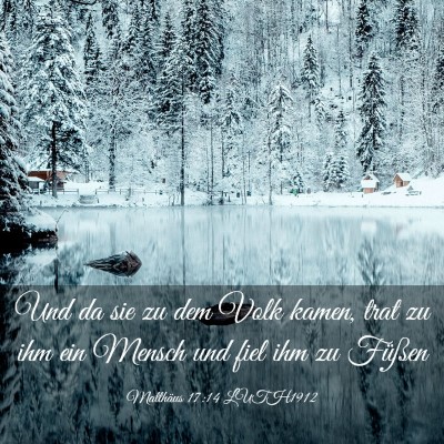 Picture 03 - Matthäus 17:14 LUTH1912 - Und da sie zu dem Volk kamen, trat zu ihm ein - Bible Verse Picture