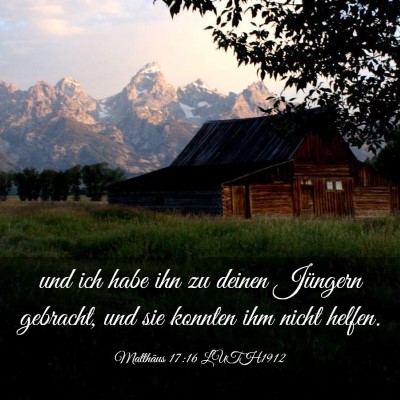 Picture 03 - Matthäus 17:16 LUTH1912 - und ich habe ihn zu deinen Jüngern gebracht, und - Bible Verse Picture