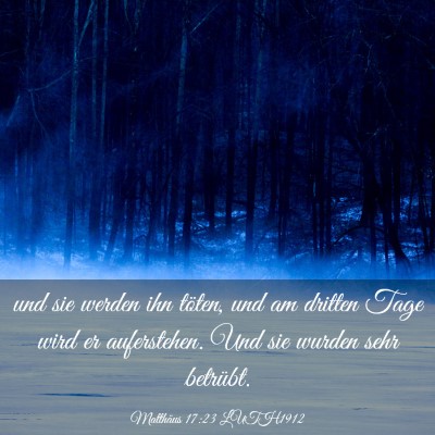 Picture 03 - Matthäus 17:23 LUTH1912 - und sie werden ihn töten, und am dritten Tage - Bible Verse Picture