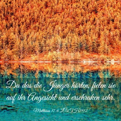 Picture 03 - Matthäus 17:6 LUTH1912 - Da das die Jünger hörten, fielen sie auf ihr - Bible Verse Picture