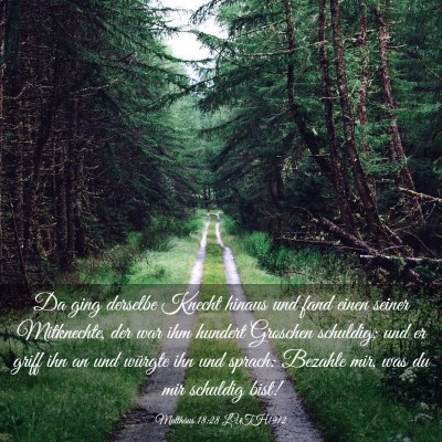 Picture 03 - Matthäus 18:28 LUTH1912 - Da ging derselbe Knecht hinaus und fand einen - Bible Verse Picture