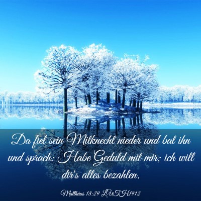 Picture 03 - Matthäus 18:29 LUTH1912 - Da fiel sein Mitknecht nieder und bat ihn und - Bible Verse Picture