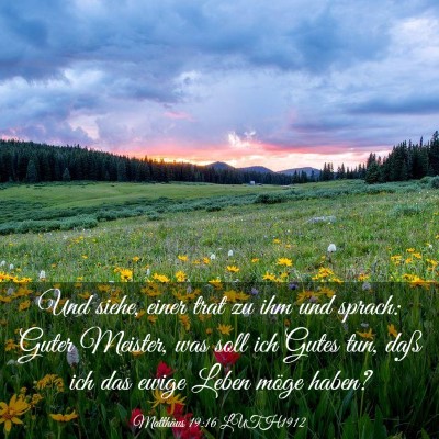 Picture 03 - Matthäus 19:16 LUTH1912 - Und siehe, einer trat zu ihm und sprach: Guter - Bible Verse Picture