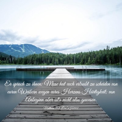 Picture 03 - Matthäus 19:8 LUTH1912 - Er sprach zu ihnen: Mose hat euch erlaubt zu - Bible Verse Picture