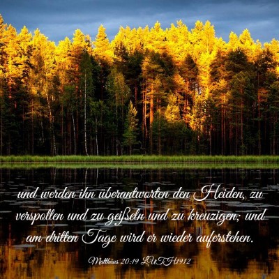 Picture 03 - Matthäus 20:19 LUTH1912 - und werden ihn überantworten den Heiden, zu - Bible Verse Picture