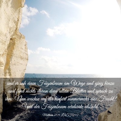 Picture 03 - Matthäus 21:19 LUTH1912 - und er sah einen Feigenbaum am Wege und ging - Bible Verse Picture
