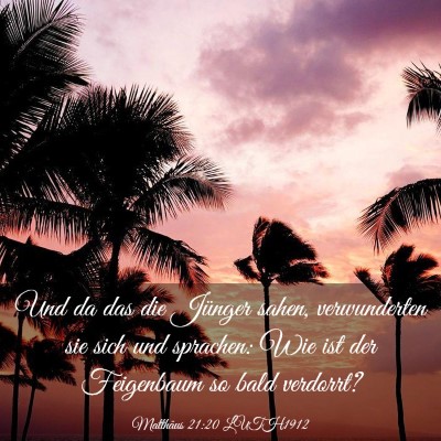 Picture 03 - Matthäus 21:20 LUTH1912 - Und da das die Jünger sahen, verwunderten sie - Bible Verse Picture