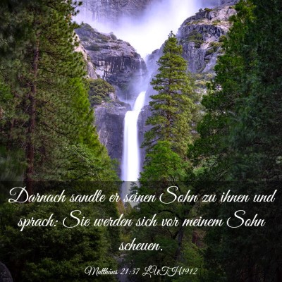 Picture 03 - Matthäus 21:37 LUTH1912 - Darnach sandte er seinen Sohn zu ihnen und - Bible Verse Picture