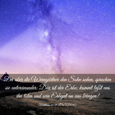 Picture 03 - Matthäus 21:38 LUTH1912 - Da aber die Weingärtner den Sohn sahen, sprachen - Bible Verse Picture