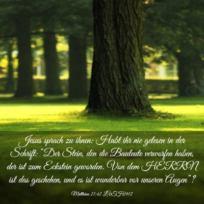 Picture 03 - Matthäus 21:42 LUTH1912 - Jesus sprach zu ihnen: Habt ihr nie gelesen in - Bible Verse Picture