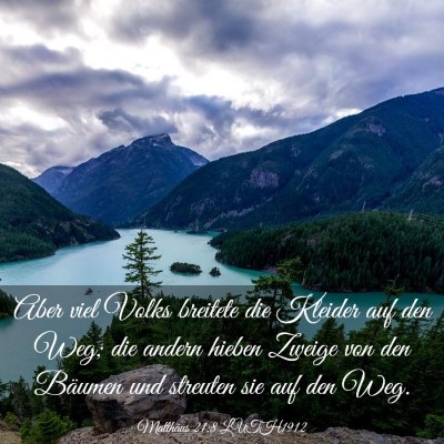 Picture 03 - Matthäus 21:8 LUTH1912 - Aber viel Volks breitete die Kleider auf den Weg; - Bible Verse Picture