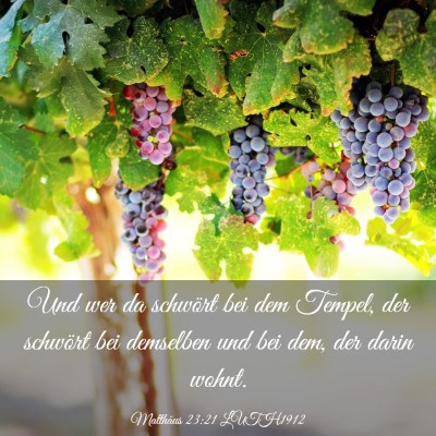 Picture 03 - Matthäus 23:21 LUTH1912 - Und wer da schwört bei dem Tempel, der schwört - Bible Verse Picture