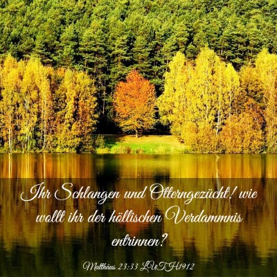 Picture 03 - Matthäus 23:33 LUTH1912 - Ihr Schlangen und Otterngezücht! wie wollt ihr - Bible Verse Picture