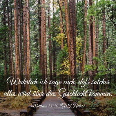 Picture 03 - Matthäus 23:36 LUTH1912 - Wahrlich ich sage euch, daß solches alles wird - Bible Verse Picture