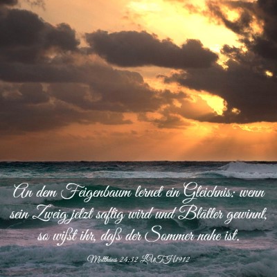 Picture 03 - Matthäus 24:32 LUTH1912 - An dem Feigenbaum lernet ein Gleichnis: wenn sein - Bible Verse Picture
