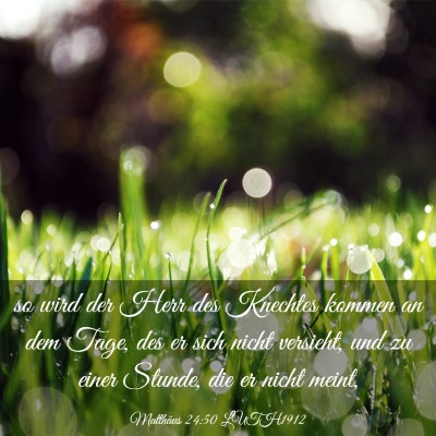 Picture 03 - Matthäus 24:50 LUTH1912 - so wird der Herr des Knechtes kommen an dem Tage, - Bible Verse Picture