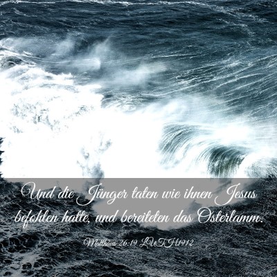 Picture 03 - Matthäus 26:19 LUTH1912 - Und die Jünger taten wie ihnen Jesus befohlen - Bible Verse Picture