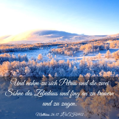 Picture 03 - Matthäus 26:37 LUTH1912 - Und nahm zu sich Petrus und die zwei Söhne des - Bible Verse Picture