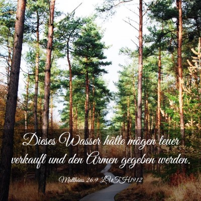 Picture 03 - Matthäus 26:9 LUTH1912 - Dieses Wasser hätte mögen teuer verkauft und - Bible Verse Picture