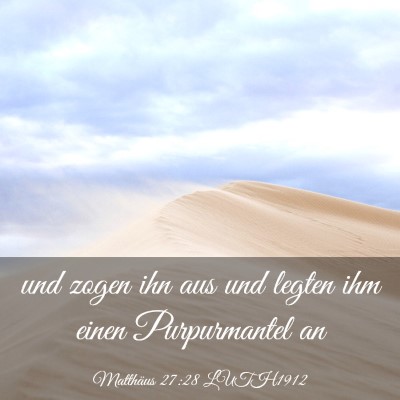 Picture 03 - Matthäus 27:28 LUTH1912 - und zogen ihn aus und legten ihm einen - Bible Verse Picture