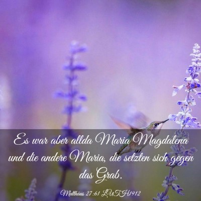 Picture 03 - Matthäus 27:61 LUTH1912 - Es war aber allda Maria Magdalena und die andere - Bible Verse Picture