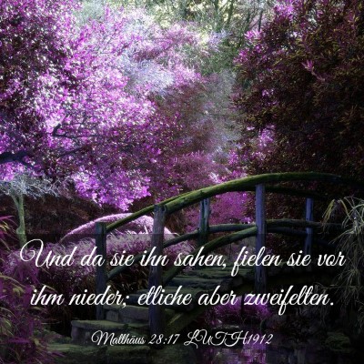 Picture 03 - Matthäus 28:17 LUTH1912 - Und da sie ihn sahen, fielen sie vor ihm nieder; - Bible Verse Picture