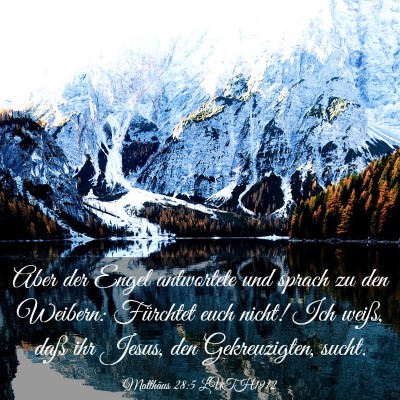 Picture 03 - Matthäus 28:5 LUTH1912 - Aber der Engel antwortete und sprach zu den - Bible Verse Picture
