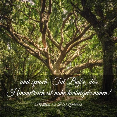 Picture 03 - Matthäus 3:2 LUTH1912 - und sprach: Tut Buße, das Himmelreich ist nahe - Bible Verse Picture