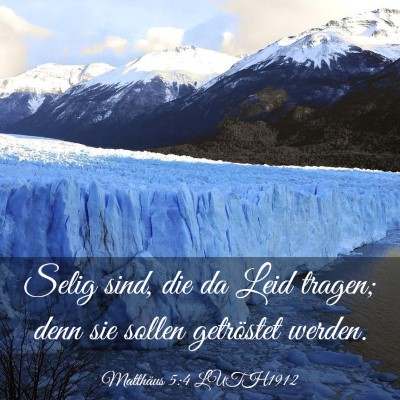 Picture 03 - Matthäus 5:4 LUTH1912 - Selig sind, die da Leid tragen; denn sie sollen - Bible Verse Picture