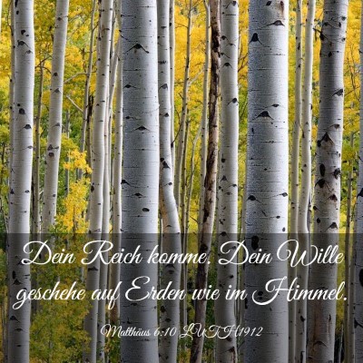 Picture 03 - Matthäus 6:10 LUTH1912 - Dein Reich komme. Dein Wille geschehe auf Erden - Bible Verse Picture