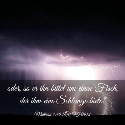 Picture 03 - Matthäus 7:10 LUTH1912 - oder, so er ihn bittet um einen Fisch, der ihm - Bible Verse Picture
