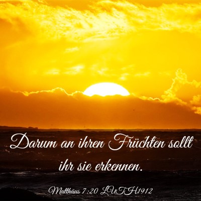 Picture 03 - Matthäus 7:20 LUTH1912 - Darum an ihren Früchten sollt ihr sie - Bible Verse Picture
