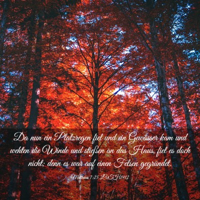 Picture 03 - Matthäus 7:25 LUTH1912 - Da nun ein Platzregen fiel und ein Gewässer kam - Bible Verse Picture
