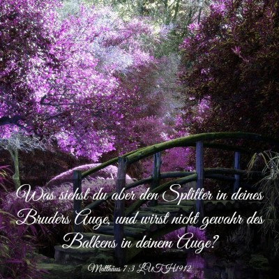Picture 03 - Matthäus 7:3 LUTH1912 - Was siehst du aber den Splitter in deines Bruders - Bible Verse Picture
