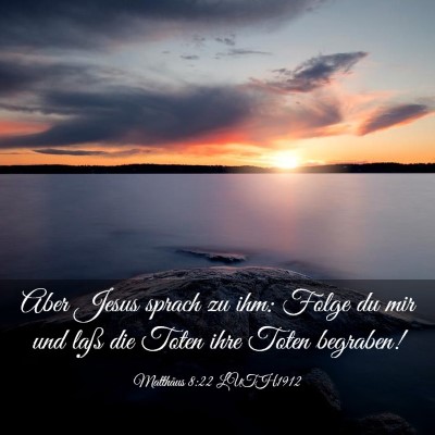 Picture 03 - Matthäus 8:22 LUTH1912 - Aber Jesus sprach zu ihm: Folge du mir und laß - Bible Verse Picture