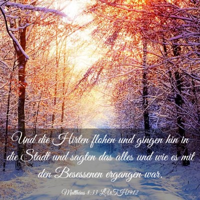 Picture 03 - Matthäus 8:33 LUTH1912 - Und die Hirten flohen und gingen hin in die Stadt - Bible Verse Picture