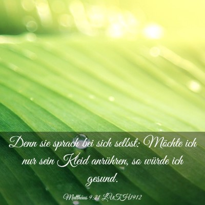 Picture 03 - Matthäus 9:21 LUTH1912 - Denn sie sprach bei sich selbst: Möchte ich nur - Bible Verse Picture
