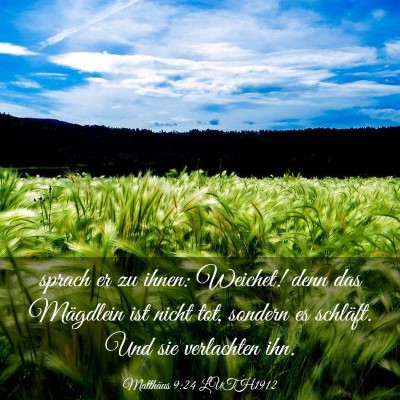 Picture 03 - Matthäus 9:24 LUTH1912 - sprach er zu ihnen: Weichet! denn das Mägdlein - Bible Verse Picture