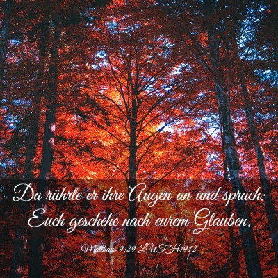 Picture 03 - Matthäus 9:29 LUTH1912 - Da rührte er ihre Augen an und sprach: Euch - Bible Verse Picture