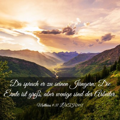 Picture 03 - Matthäus 9:37 LUTH1912 - Da sprach er zu seinen Jüngern: Die Ernte ist - Bible Verse Picture