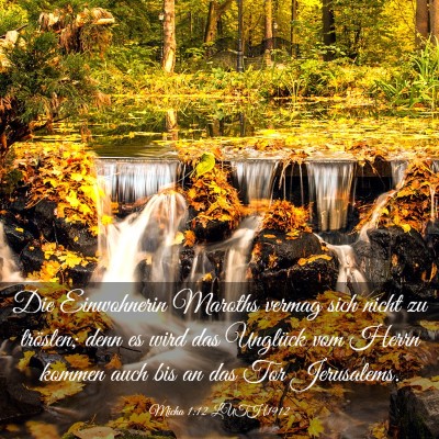 Picture 03 - Micha 1:12 LUTH1912 - Die Einwohnerin Maroths vermag sich nicht zu - Bible Verse Picture