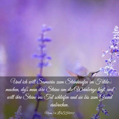 Picture 03 - Micha 1:6 LUTH1912 - Und ich will Samaria zum Steinhaufen im Felde - Bible Verse Picture