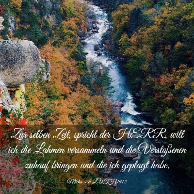 Picture 03 - Micha 4:6 LUTH1912 - Zur selben Zeit, spricht der HERR, will ich die - Bible Verse Picture